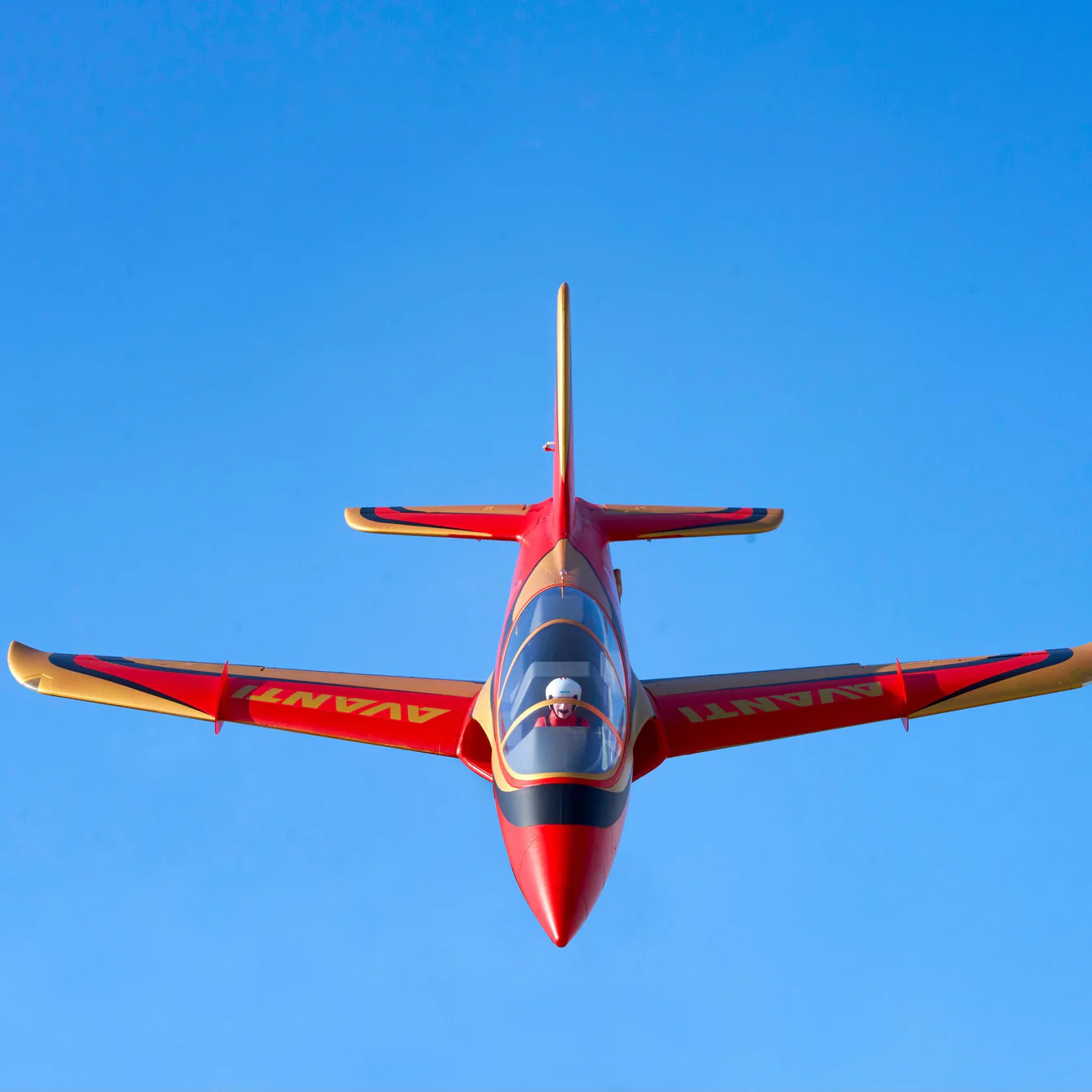 FMS AvantiS 90MM 18th Anniversary Edition PNP - Image 10