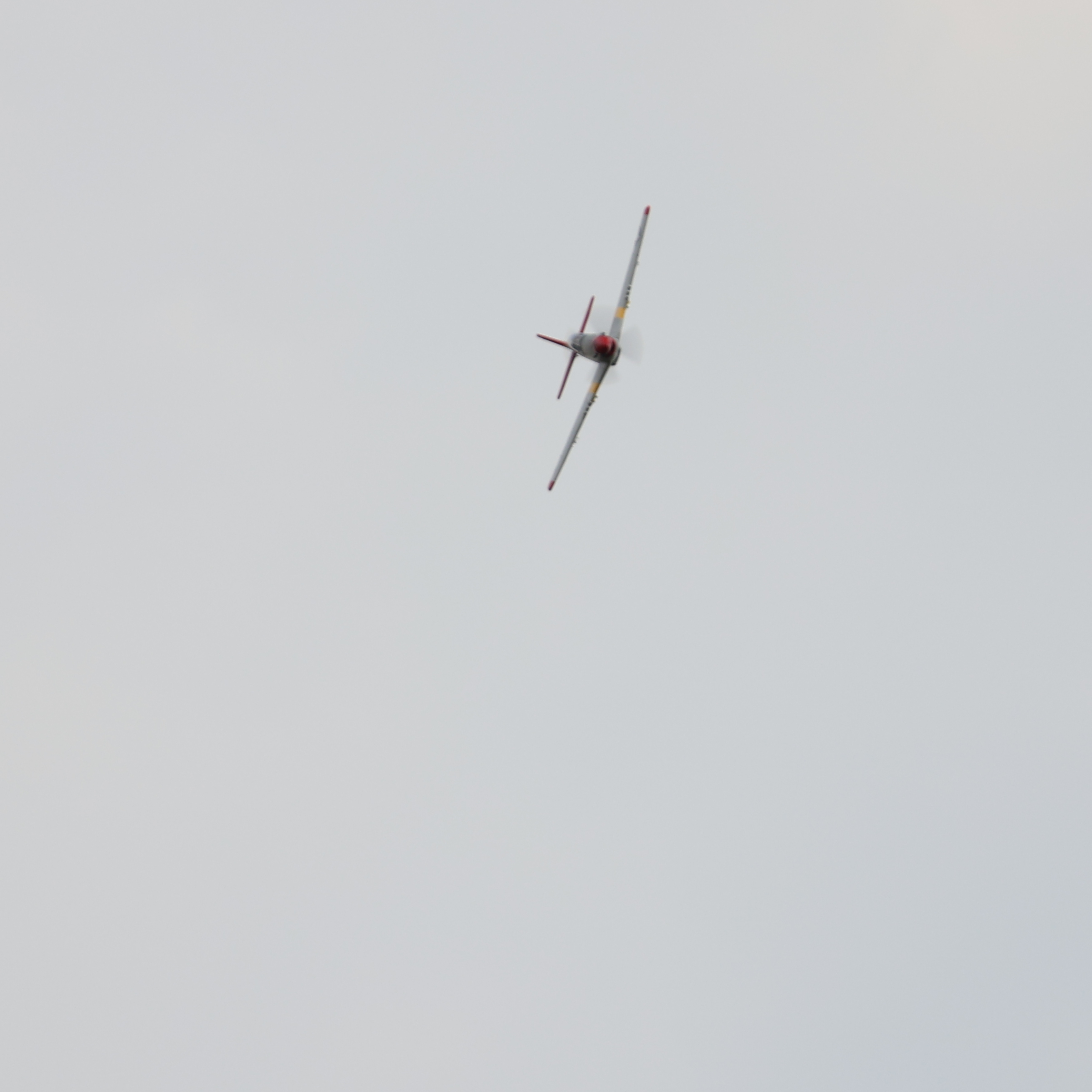Arrows P-51D Mustang 850MM dengan Vector Gyro PNP - Image 8