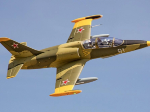 Freewing L-39 80MM Camo V2 PNP