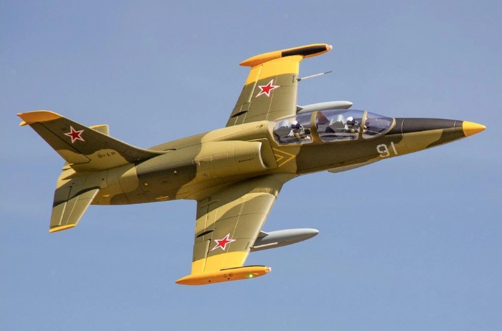 Freewing L-39 80MM Camo V2 PNP