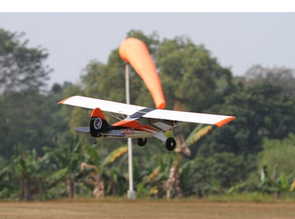 Arrows HUSKY 1800mm ULTIMATE 4S-6S with Gyro PNP